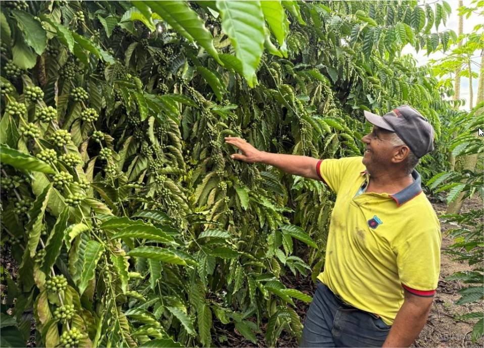 Café garante renda e recomeço para família de Castanheira