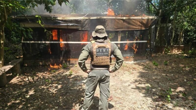 Operação resulta em prisões por crime ambiental e demolições de construções irregulares em Área de Preservação Permanente
