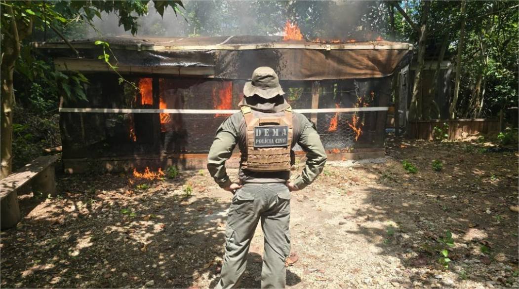Operação resulta em prisões por crime ambiental e demolições de construções irregulares em Área de Preservação Permanente