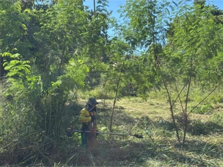 Vereador Ilde Taques atende pedido e limpeza no Morro do Condor e praças são iniciadas