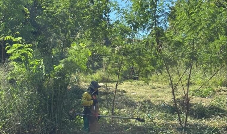 Vereador Ilde Taques atende pedido e limpeza no Morro do Condor e praças são iniciadas