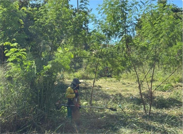 Vereador Ilde Taques atende pedido e limpeza no Morro do Condor e praças são iniciadas