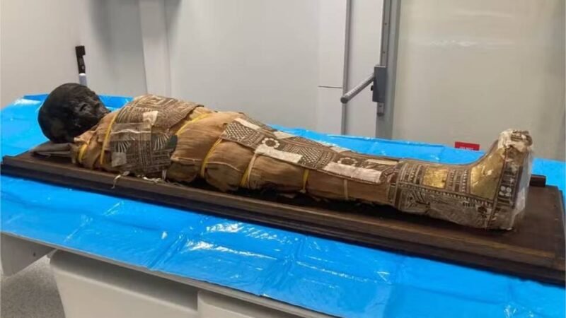 Item misterioso é descoberto em múmia egípcia de criança de 8 anos