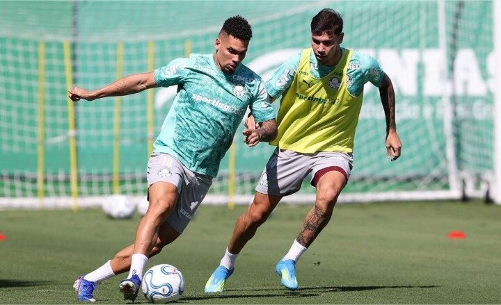 Palmeiras inicia preparação para enfrentar o Santos com Paulinho