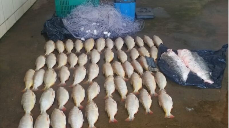 Batalhão Ambiental da PM prende homem transportando 52 unidades de pescado irregular