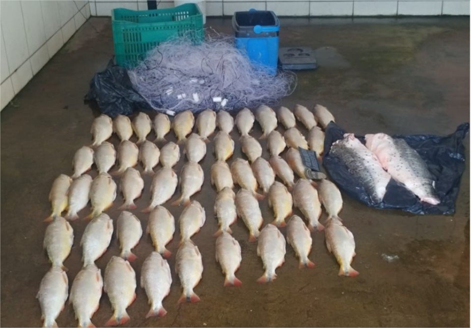 Batalhão Ambiental da PM prende homem transportando 52 unidades de pescado irregular
