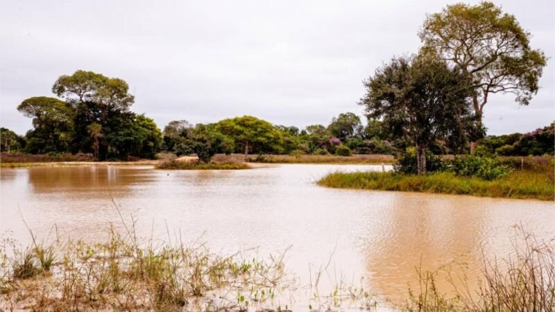 Período de defeso da Piracema será entre 1º de outubro de 2026 e 31 de janeiro de 2027 em MT
