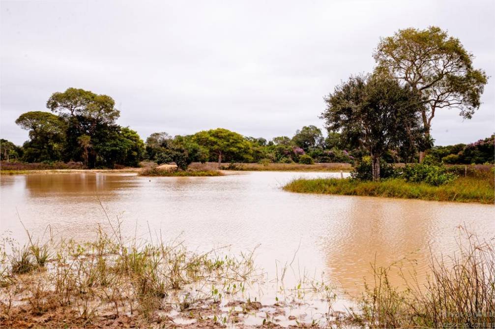 Período de defeso da Piracema será entre 1º de outubro de 2026 e 31 de janeiro de 2027 em MT