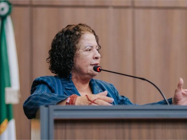 Baixinha Giraldelli vota favorável a empréstimo, mas reforça fiscalização dos recursos