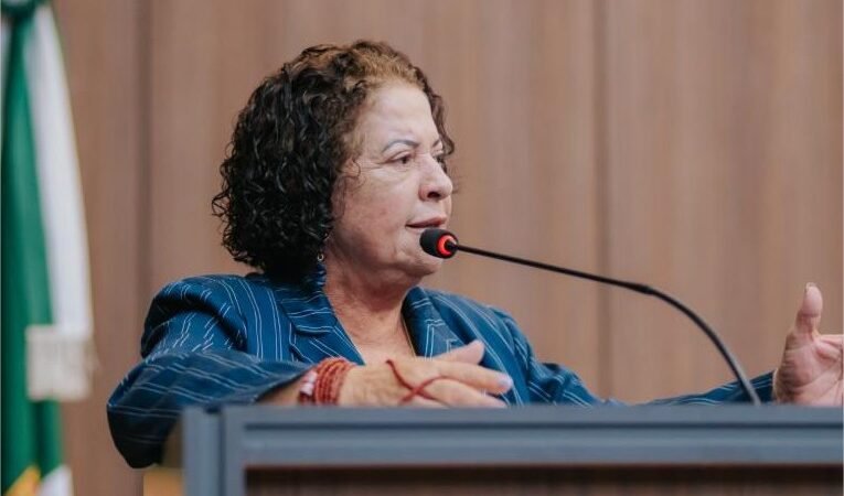 Baixinha Giraldelli vota favorável a empréstimo, mas reforça fiscalização dos recursos