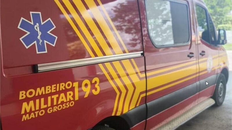 Corpo de Bombeiros reforça cuidados para evitar acidentes com escorpiões