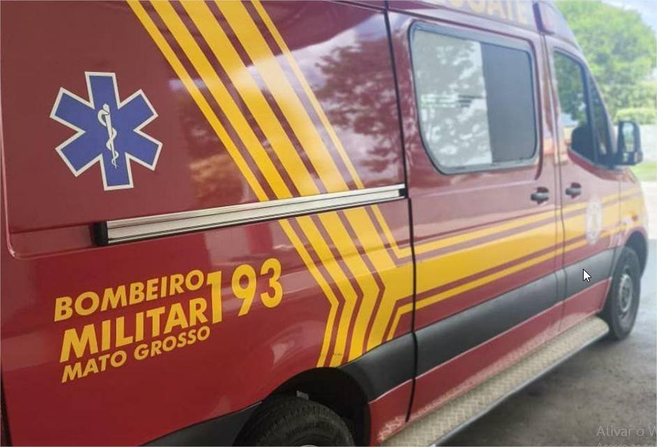 Corpo de Bombeiros reforça cuidados para evitar acidentes com escorpiões