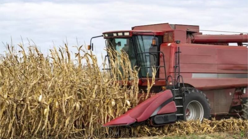 Credores denunciam irregularidades no processo de recuperação judicial do Grupo Cella