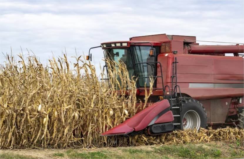 Credores denunciam irregularidades no processo de recuperação judicial do Grupo Cella