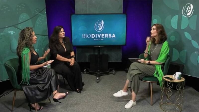 “Começamos com R$ 300”: Bioilha transforma iniciativa simples em negócio de impacto na Amazônia