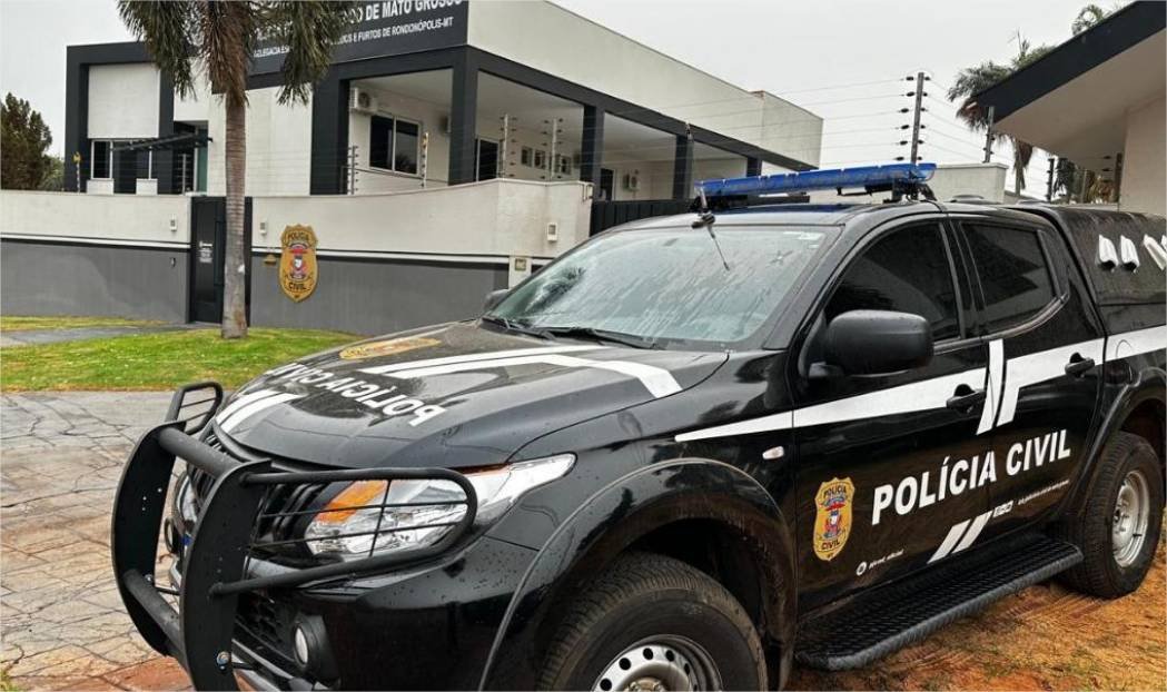 Polícia Civil indicia suspeito de matar gato a pauladas em Rondonópolis