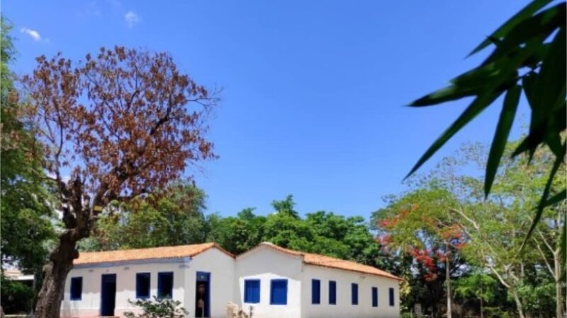 Museu de História Natural de MT celebra maio com festival de ancestralidade