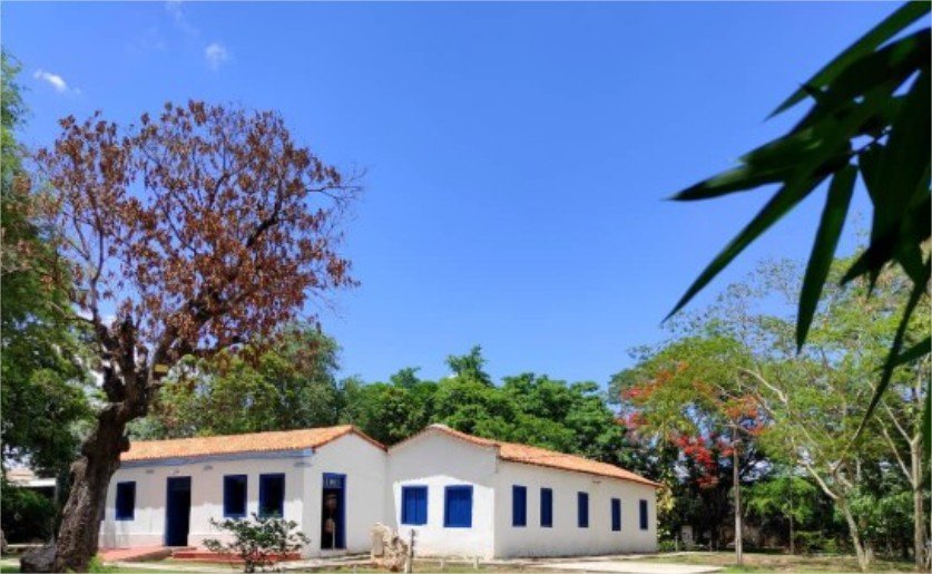 Museu de História Natural de MT celebra maio com festival de ancestralidade