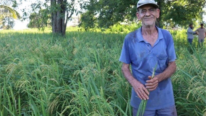Programa REM MT abre editais com R$18,6 milhões para agricultura familiar e povos indígenas