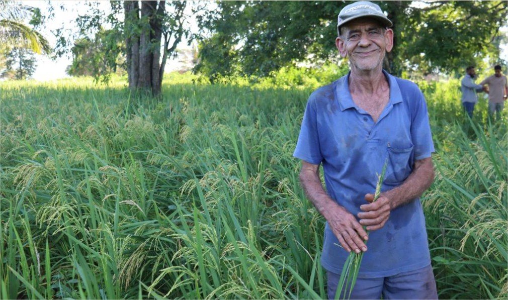 Programa REM MT abre editais com R$18,6 milhões para agricultura familiar e povos indígenas