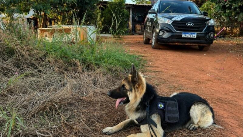 Polícia Civil deflagrou operação contra investigados por homicídio ligado a facção em Tabaporã