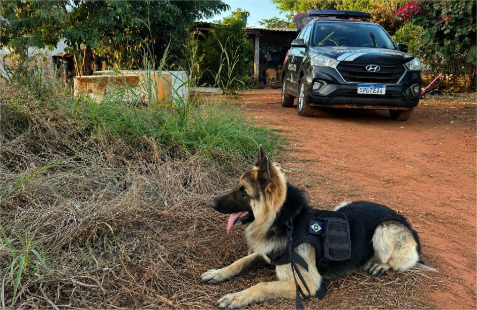 Polícia Civil deflagrou operação contra investigados por homicídio ligado a facção em Tabaporã
