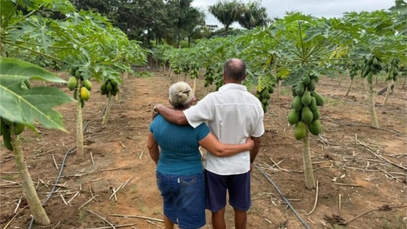 Agricultura familiar transforma aposentadoria em qualidade de vida e renda em Nova Monte Verde