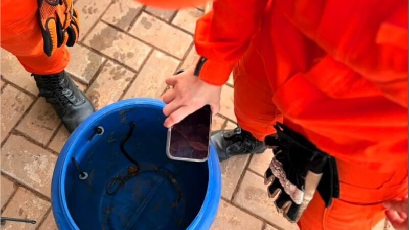 Corpo de Bombeiros resgata três cobras em áreas urbanas de MT