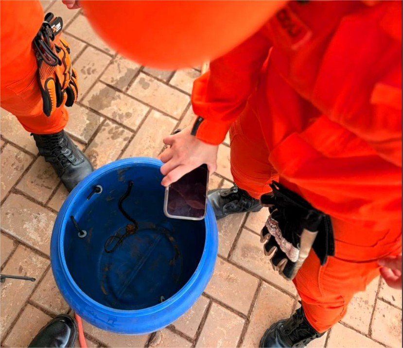 Corpo de Bombeiros resgata três cobras em áreas urbanas de MT