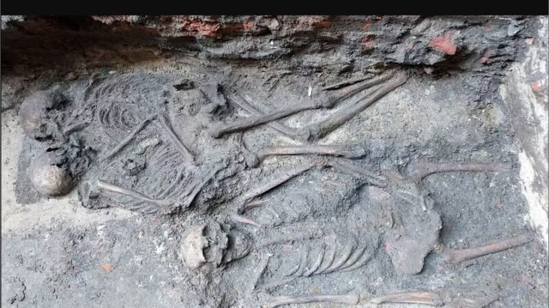A história por trás dos esqueletos enterrados abraçados há 800 anos na Polônia