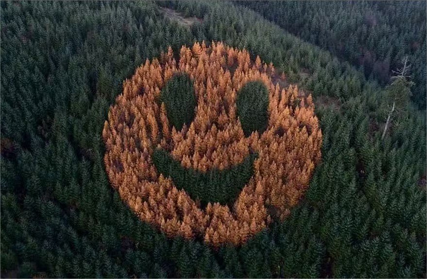 A história por trás deste rosto feliz no meio de floresta dos EUA