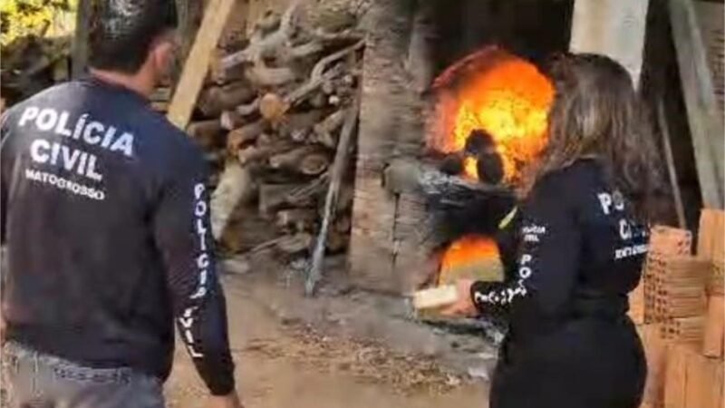 Polícia Civil incinera mais de 70 quilos de drogas em Barra do Garças