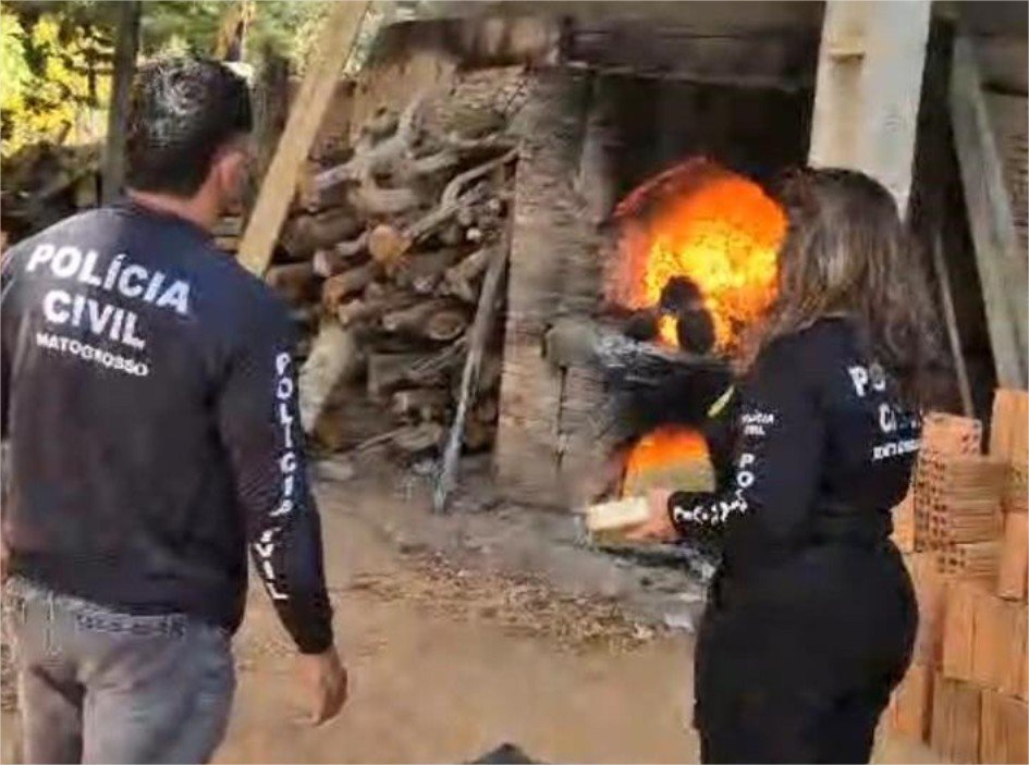Polícia Civil incinera mais de 70 quilos de drogas em Barra do Garças