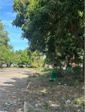 Avenida principal do Jardim Universitário é revitalizada por equipe de limpeza