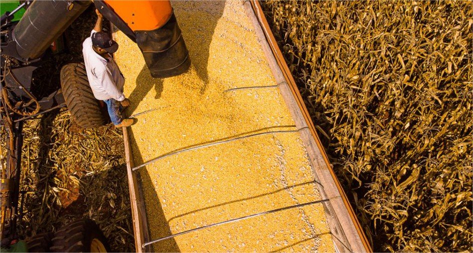 Mato Grosso lidera produção agropecuária do país com projeção de R$ 206 bilhões em 2026
