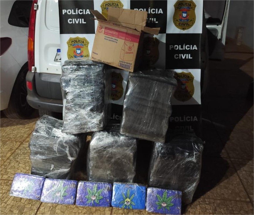 Polícia Civil apreende 178 tabletes de maconha e desarticula esquema de distribuição de drogas na região de Rondonópolis