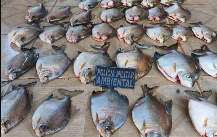 Batalhão Ambiental da PM prende homem por armazenar pescado ilegal em Nova Canaã do Norte