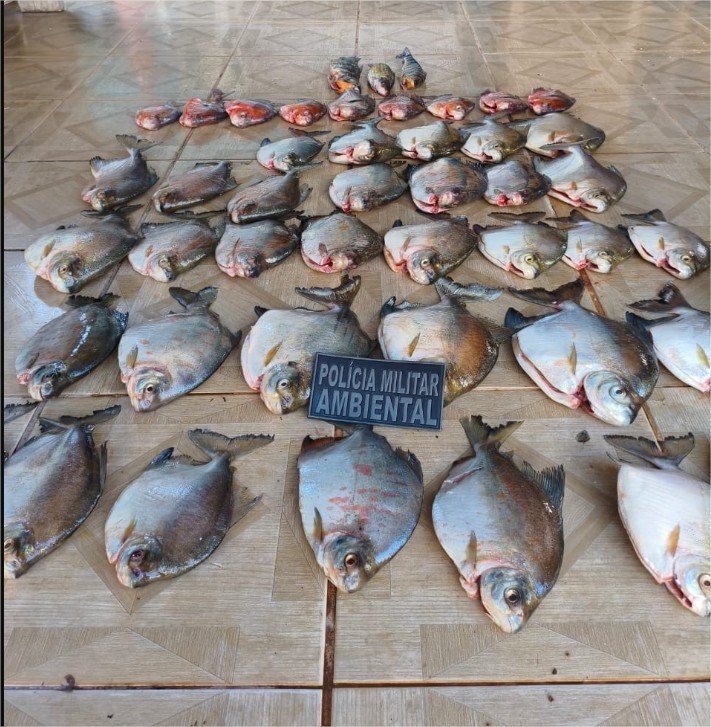 Batalhão Ambiental da PM prende homem por armazenar pescado ilegal em Nova Canaã do Norte