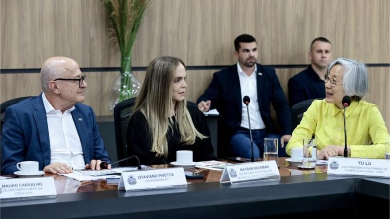 Delegação chinesa mira carne sustentável e novos negócios em MT