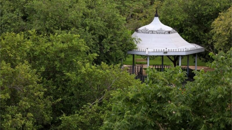 Sema abre inscrições para Trilha Interpretativa de Flora no Parque Mãe Bonifácia