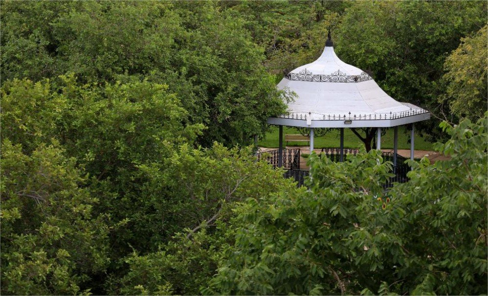 Sema abre inscrições para Trilha Interpretativa de Flora no Parque Mãe Bonifácia