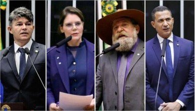 Bolsonaristas de MT defendem projeto