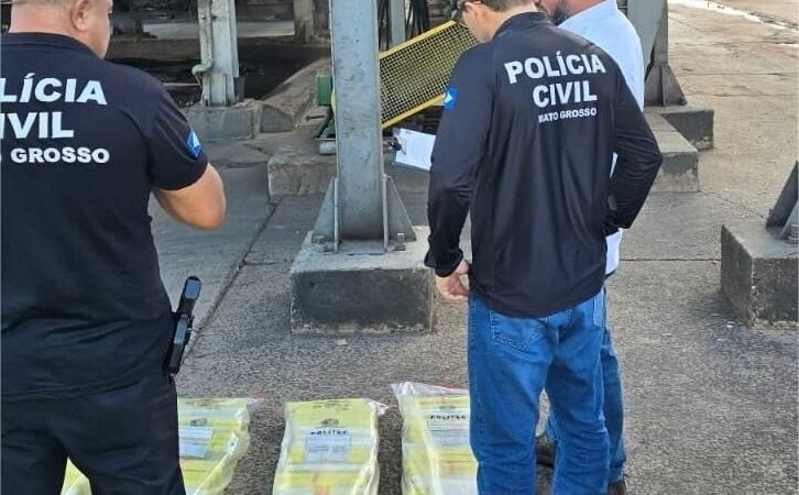 Polícia Civil incinera cerca de 109 quilos maconha apreendidos em Alto Araguaia e região