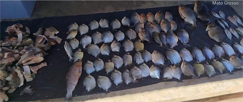 Ações da Sema contra pesca ilegal apreendem mais de 60 kg de pescado