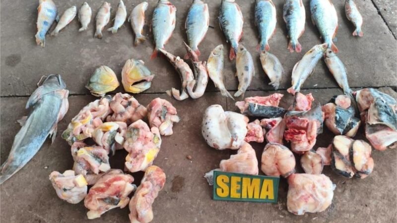Sema e PM apreendem pescados irregulares em estabelecimento às margens do Rio Cuiabá