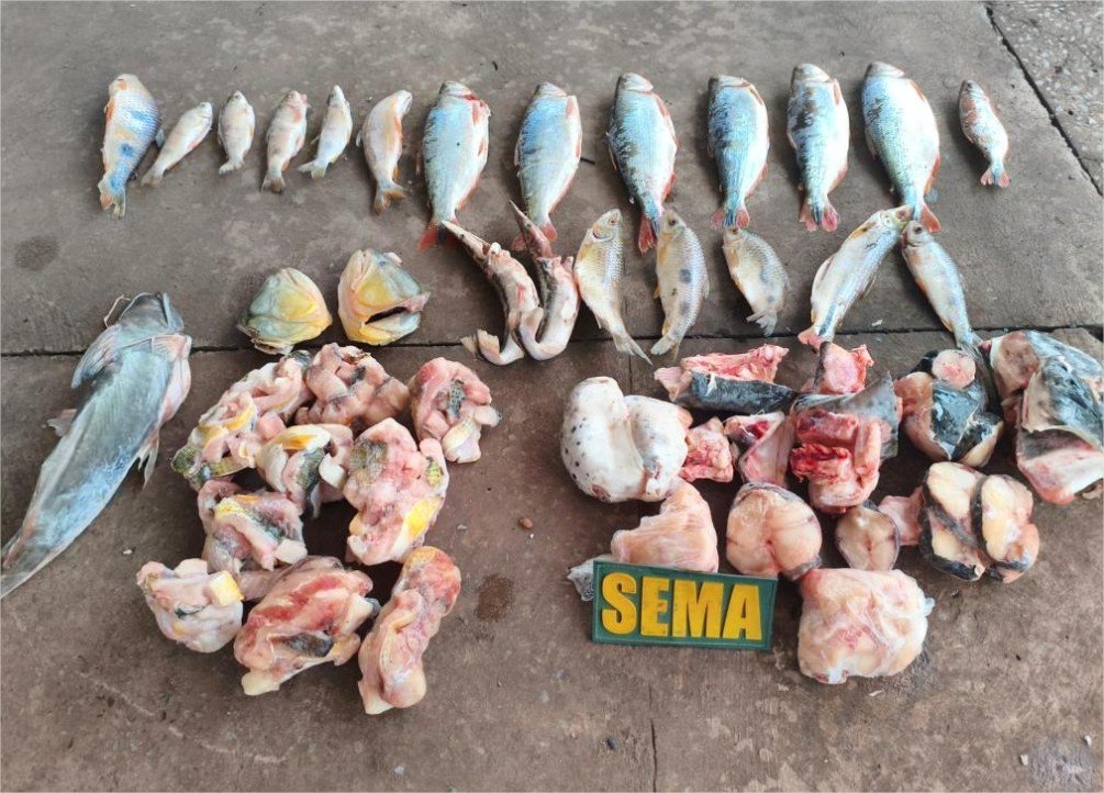Sema e PM apreendem pescados irregulares em estabelecimento às margens do Rio Cuiabá
