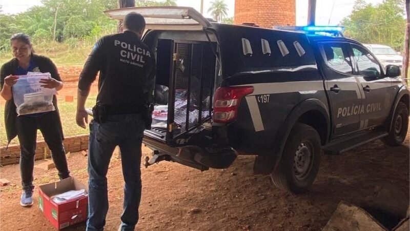 Polícia Civil incinera 60 quilos de entorpecentes apreendidos na região de Poconé