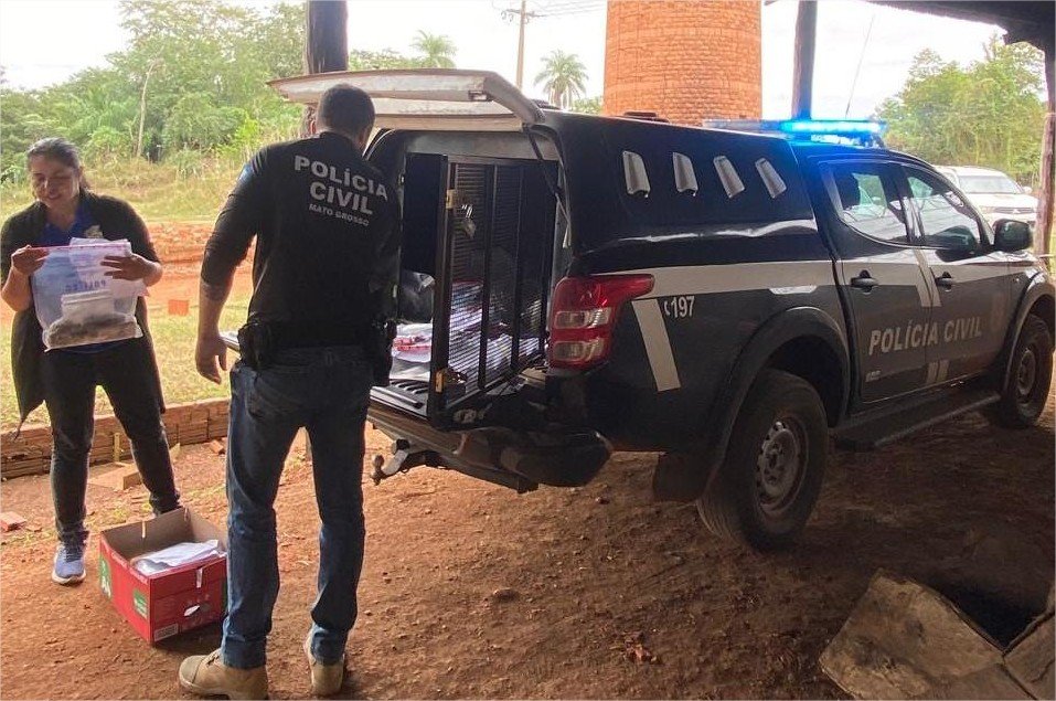 Polícia Civil incinera 60 quilos de entorpecentes apreendidos na região de Poconé