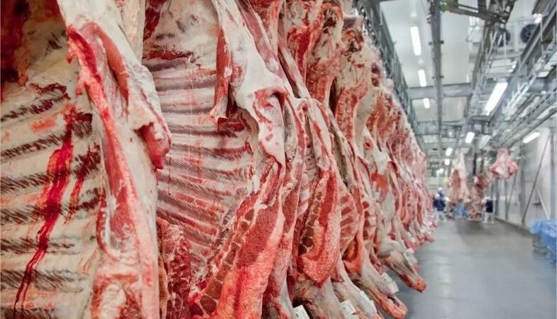União Europeia exclui Brasil de lista e ameaça bilionária exportação de carnes