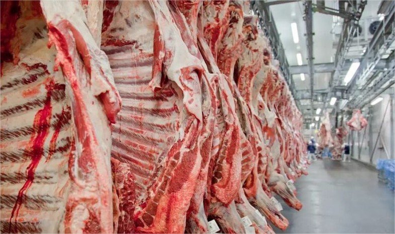 União Europeia exclui Brasil de lista e ameaça bilionária exportação de carnes
